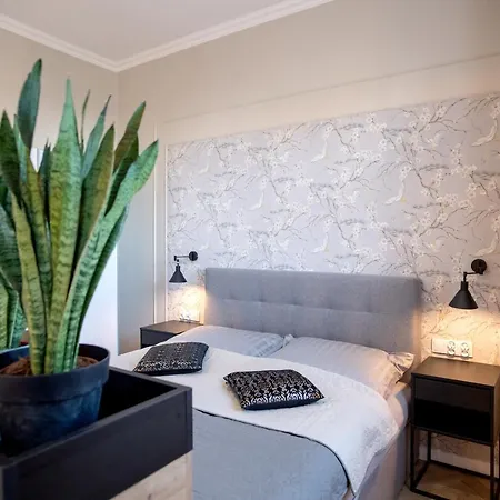 Rynek 12 * Косцежина