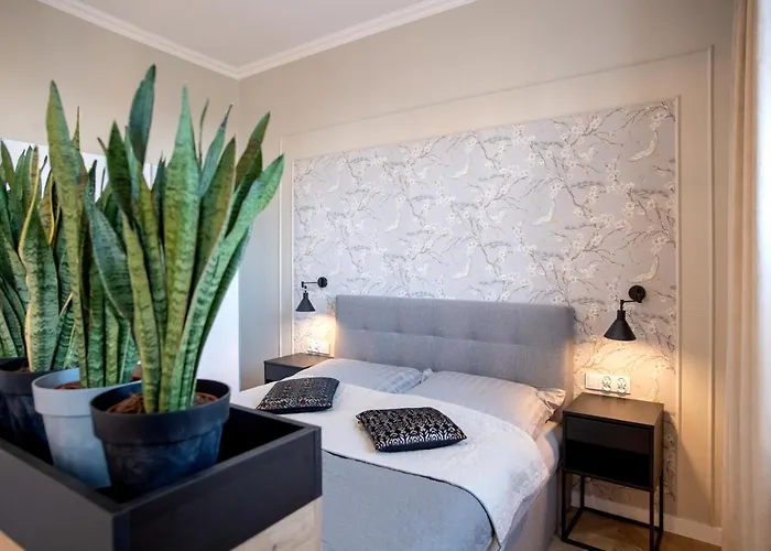 Rynek 12 * Kościerzyna